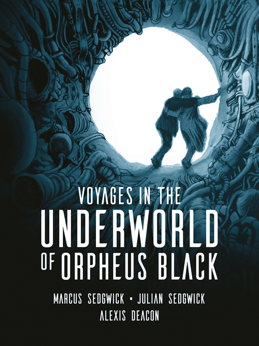 Cover image for Voyages in the Underworld of Orpheus Black